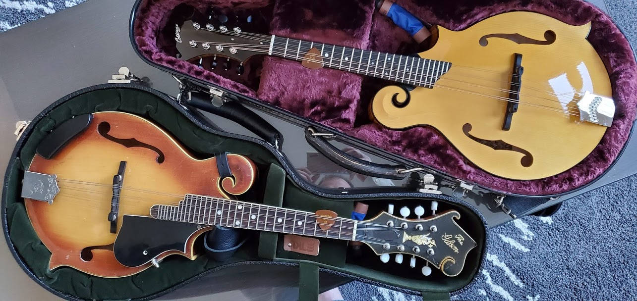 Jason's mandolins, safe in their cases.